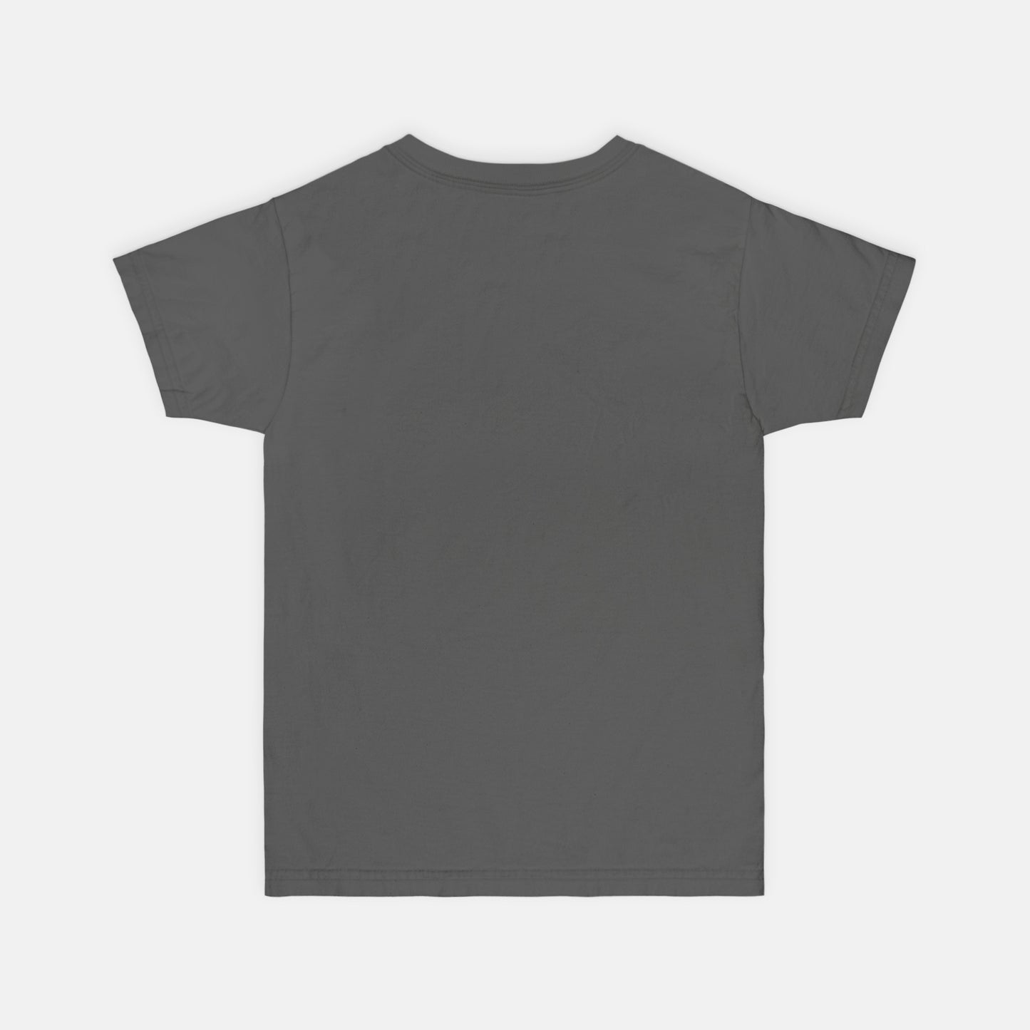 Plain gray t-shirt back on a white background