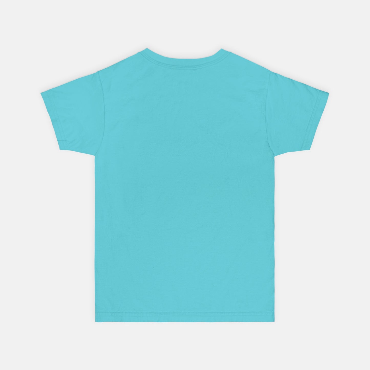 Back view of a light blue t-shirt on a white background