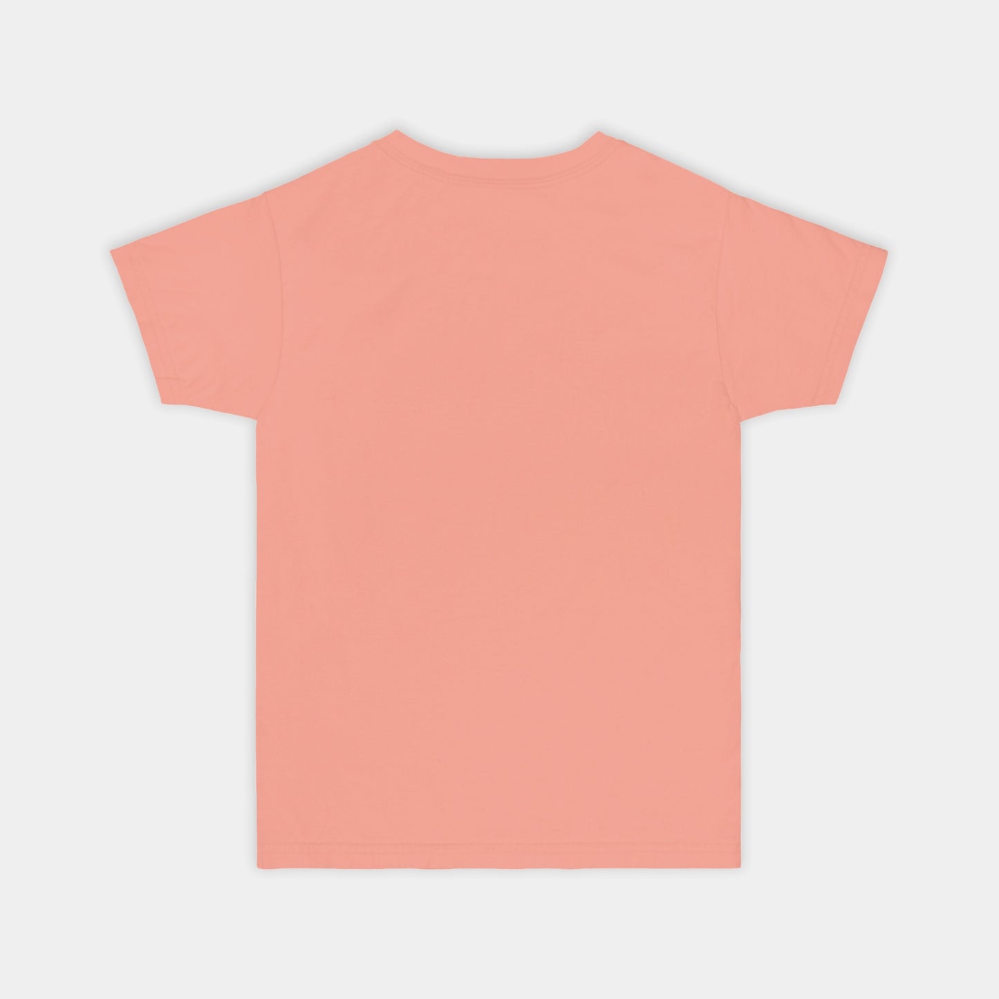 Santa Goose - Comfort Color Youth